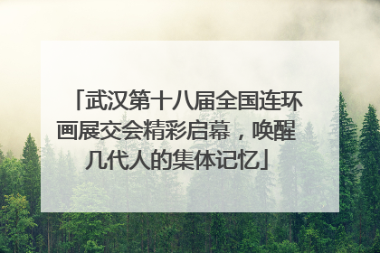 武汉第十八届全国连环画展交会精彩启幕，唤醒几代人的集体记忆